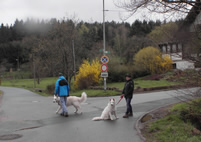 Begr&uuml;&szlig;ung